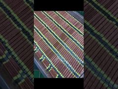 OEM Yüksek Yoğunluklu UV Kürleme Lambası, Mürekkep Püskürtmeli Yazıcı İçin 20000 Saat Ömür