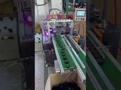 300w UV Işıkla Kürleme Ekipmanını Görüntüle, Reçine Demosu İçin 405nm UV LED Lamba