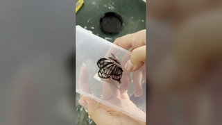 UV LED Kürleme Sistemi Hızlı Mürekkep Kurutma